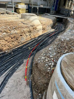 WhatsApp Image 2026-01-31 at 23.21.04 (12)